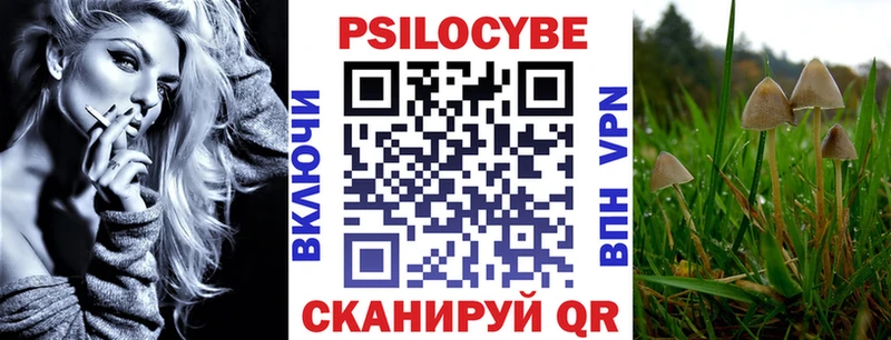 Галлюциногенные грибы Psilocybe  Киржач 