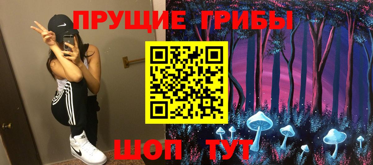 Псилоцибиновые грибы Cubensis  Вход с VPN  Киржач  Галлюциногенные грибы GOLDEN TEACHER 